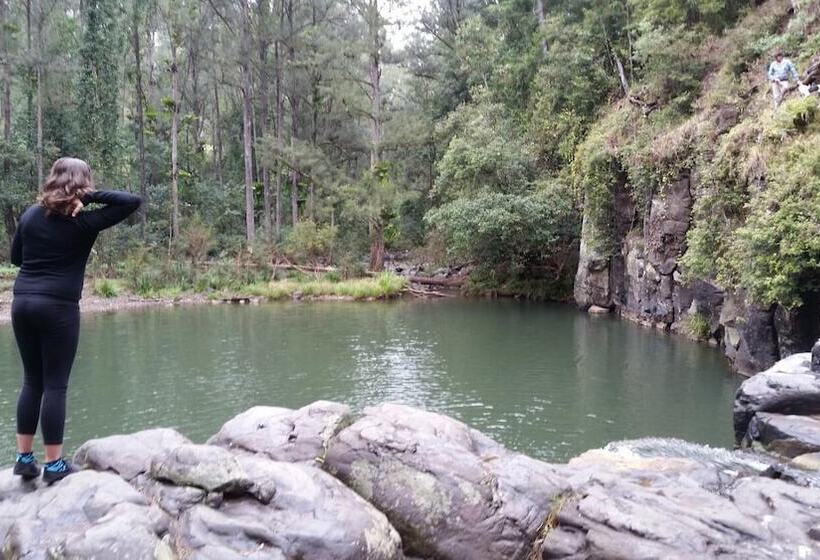汽车旅馆 Nimbin Rocks Retreat