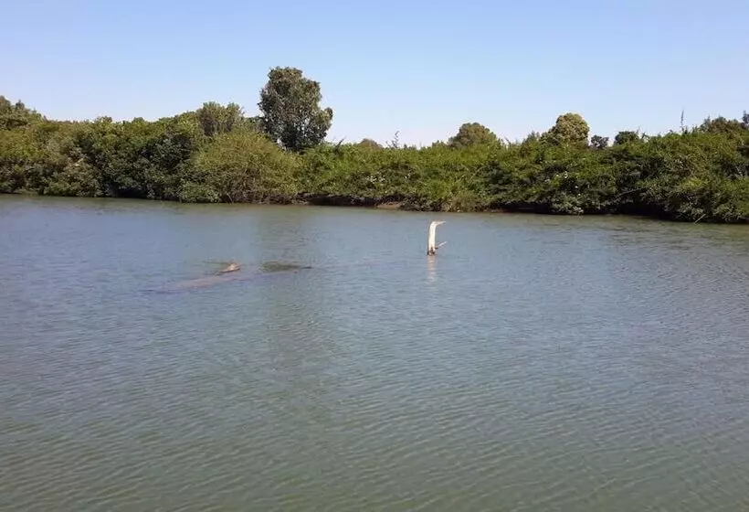 Motelli Nimbin Rocks Retreat