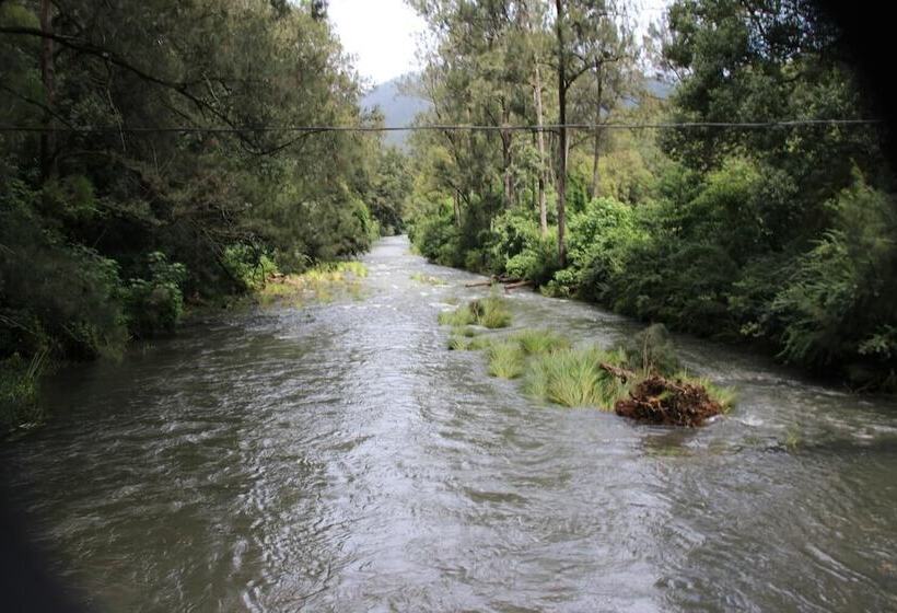 汽车旅馆 Nimbin Rocks Retreat