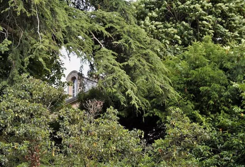 Majatalo La Maison Du Pinier