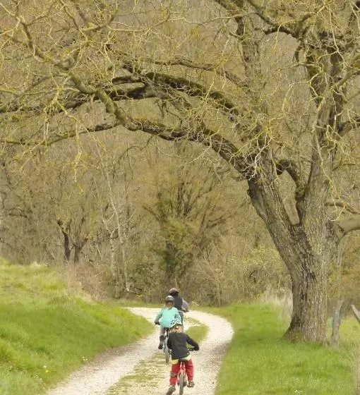 ペンション Le Chat Blanc