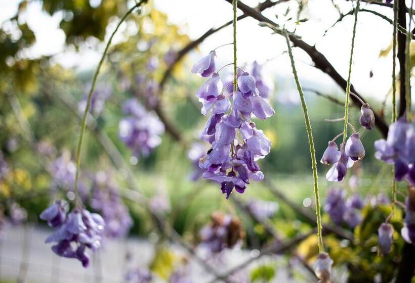 ペンション Le Chat Blanc