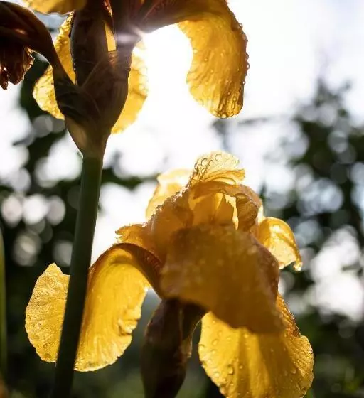 ペンション Le Chat Blanc