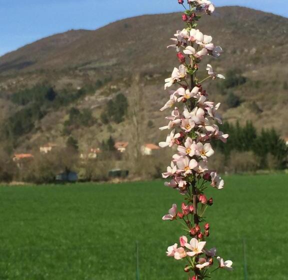 ペンション Le Chat Blanc
