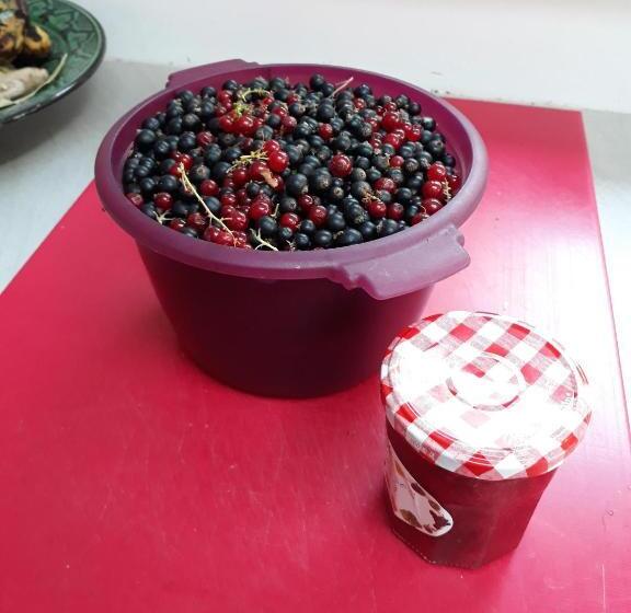 膳宿费 Manoir Du Rouvre