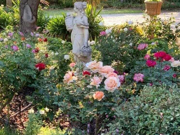 Forgandenny Bed & Breakfast