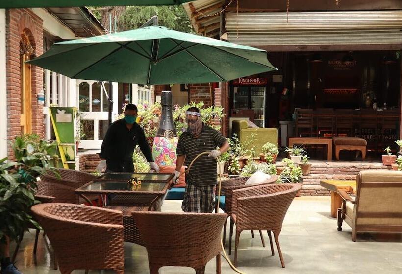 בית מלון כפרי The Rainbow Inn And Cafe