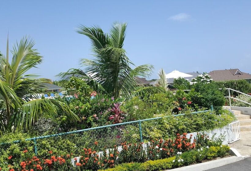 Ocho Rios Villa At Coolshade Iv