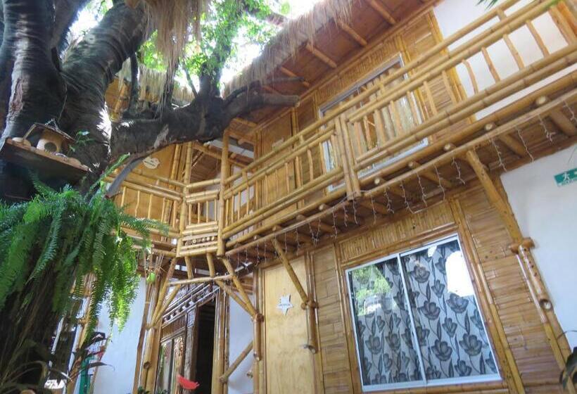 هتل Tatacoa Star Eco