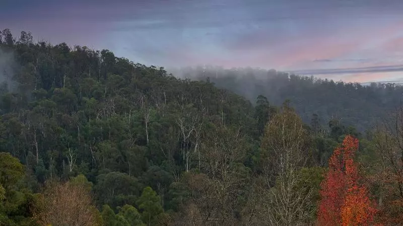 ホテル Elkanah Lodge And Conference Centre