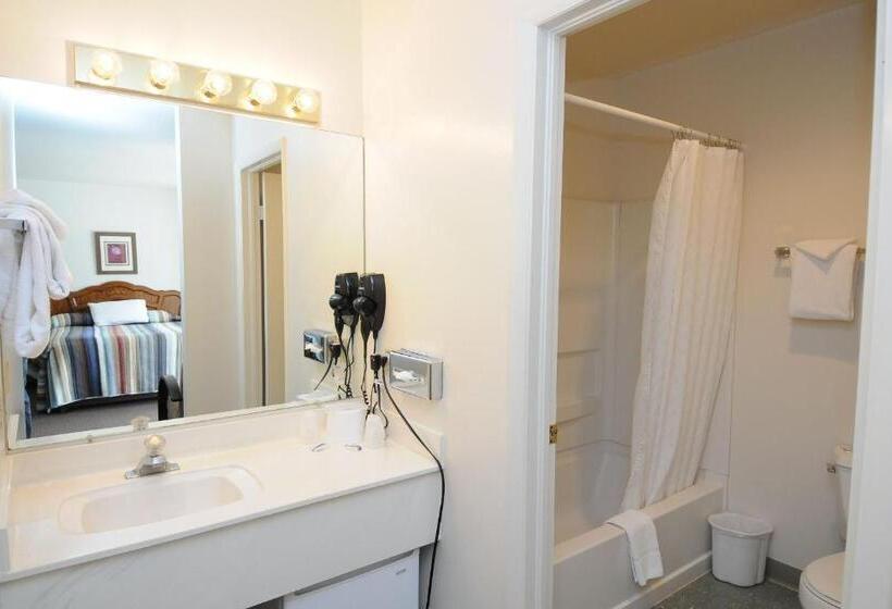 فندق Aiken S Lodge