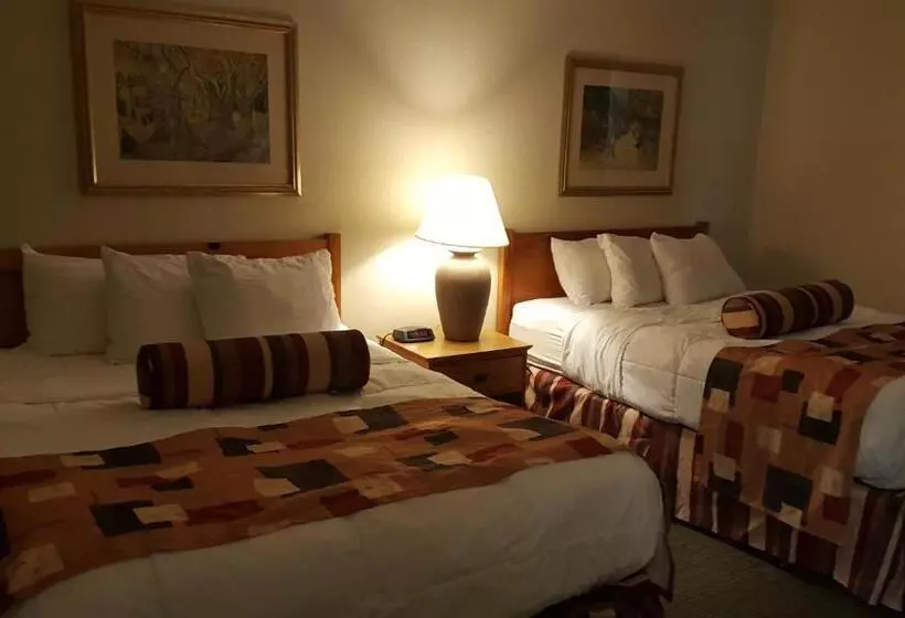 酒店 Baymont By Wyndham Wichita East