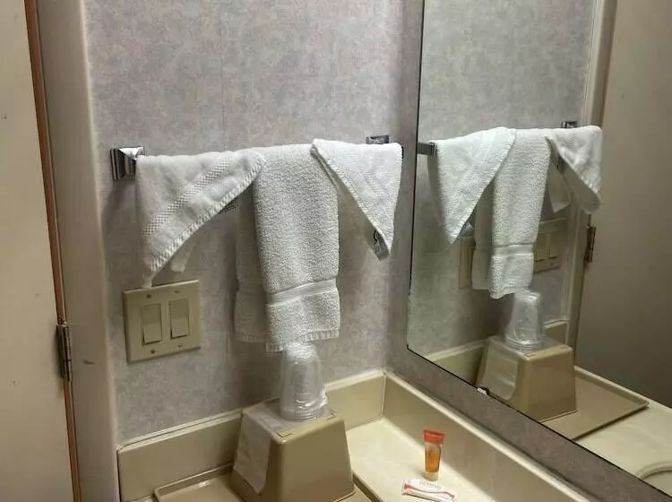 בית מלון כפרי Budget Inn Timmonsville