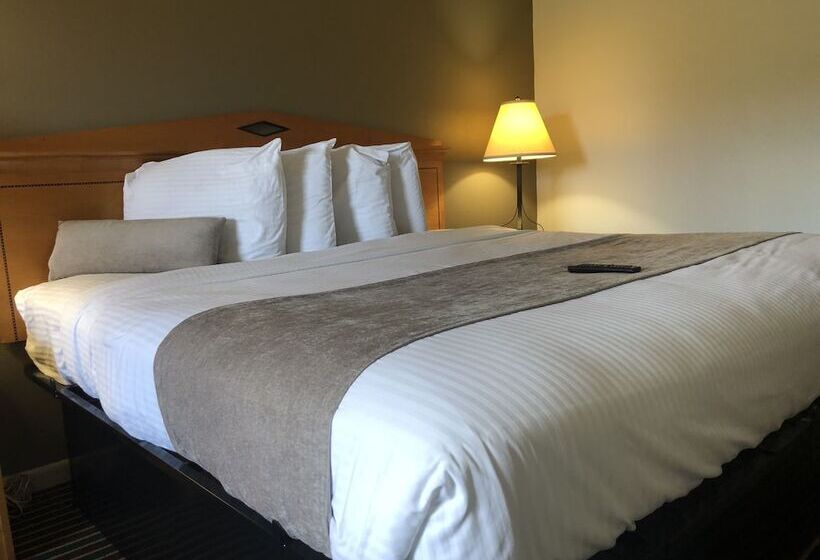 فندق Budget Inn Timmonsville