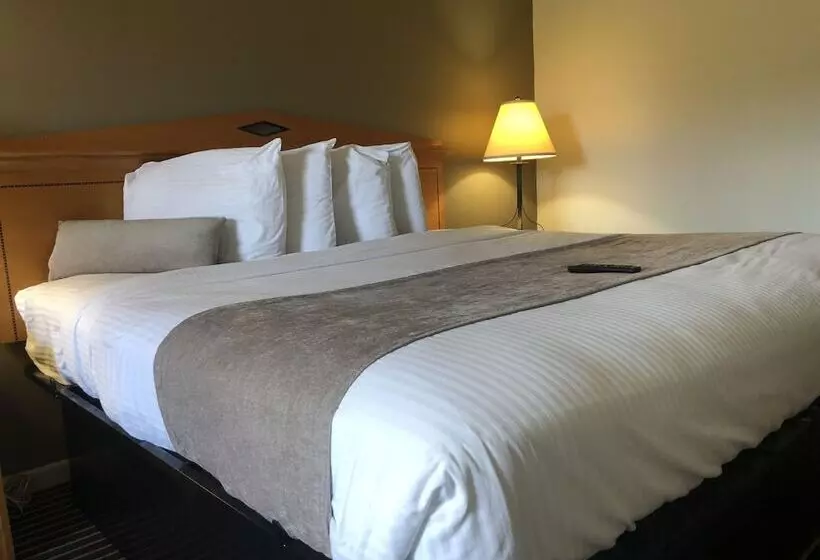 בית מלון כפרי Budget Inn Timmonsville