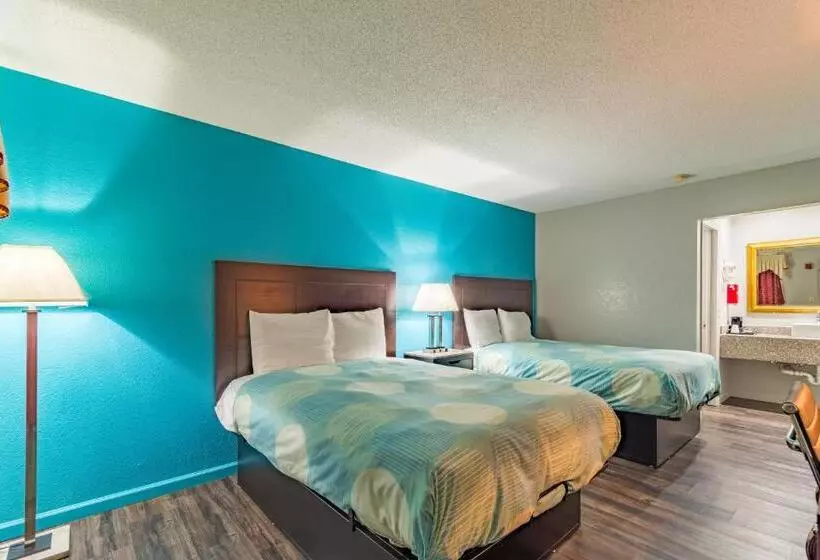 ホテル Carolina Lodge