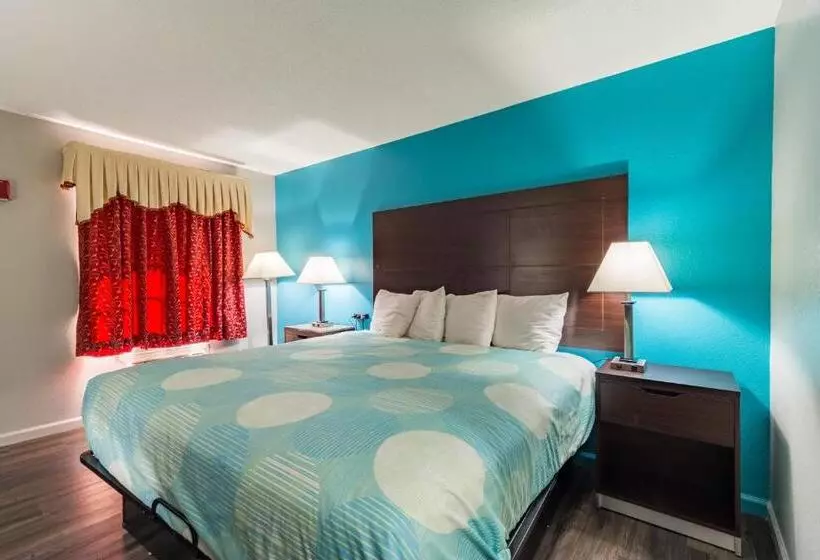 ホテル Carolina Lodge