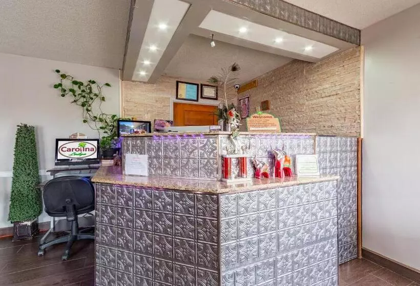 ホテル Carolina Lodge