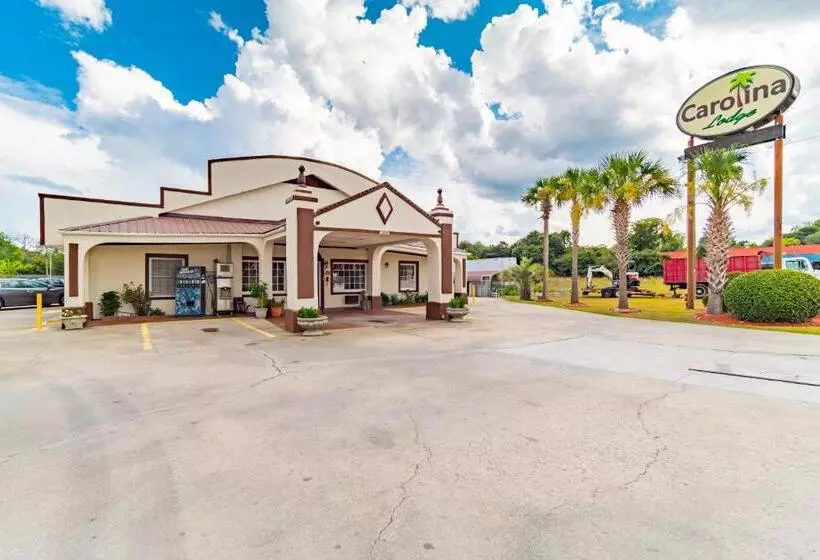 ホテル Carolina Lodge