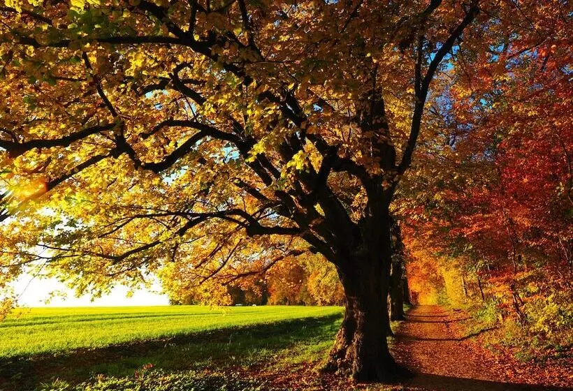 בית מלון כפרי Colonial Inn Ellsworth