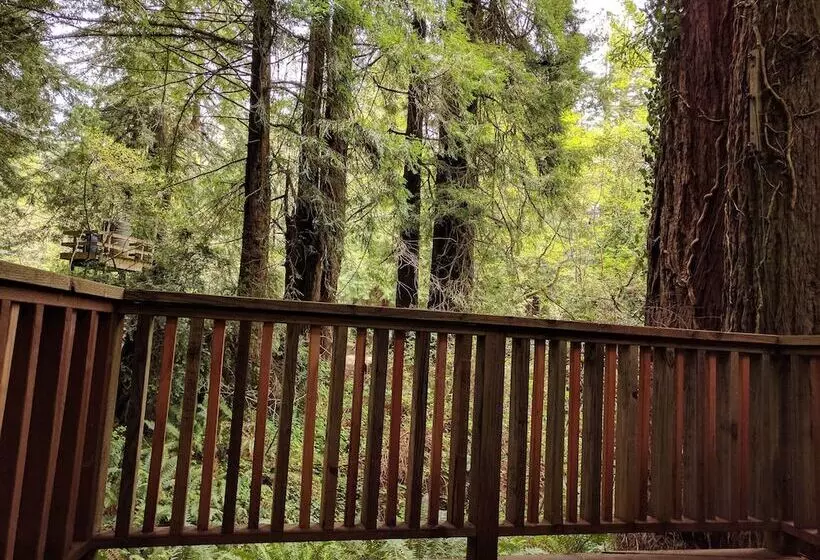 Hotel Emerald Forest Cabins