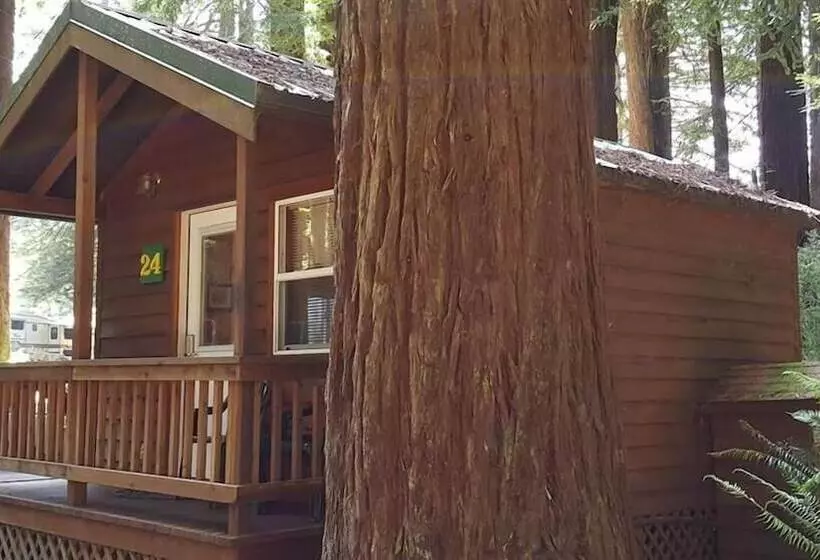 Hotel Emerald Forest Cabins