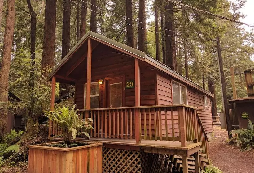 Hotel Emerald Forest Cabins