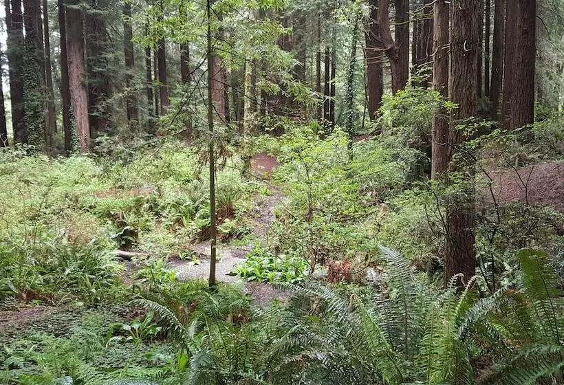 Hotel Emerald Forest Cabins