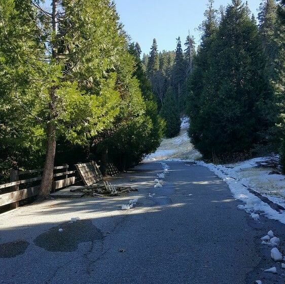 ホテル Lake Arrowhead Chalets