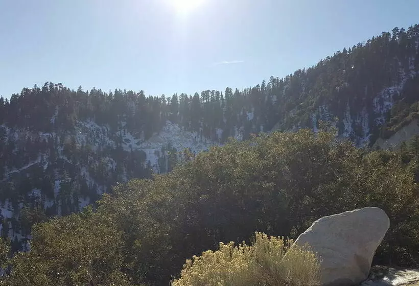 酒店 Lake Arrowhead Chalets