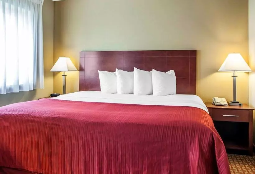 酒店 Quality Inn & Suites Davenport Near I 80