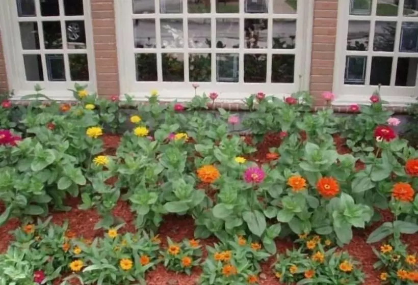 The Chateau Bloomington Hotel And Conference Center