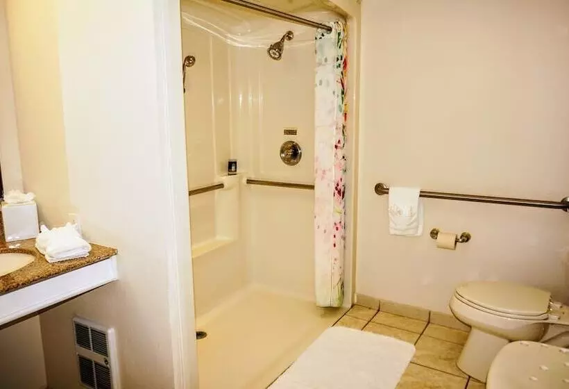 酒店 The Wilshire Grand