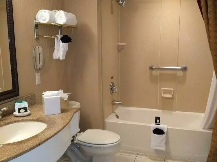 酒店 The Wilshire Grand