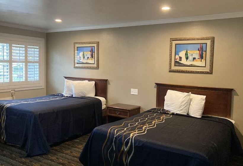 Little Boy Blue Motel