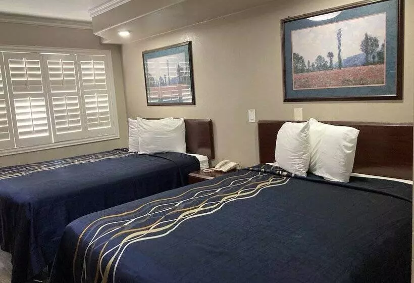 Little Boy Blue Motel