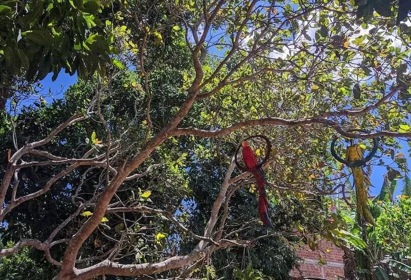 Majatalo Pousada Viana