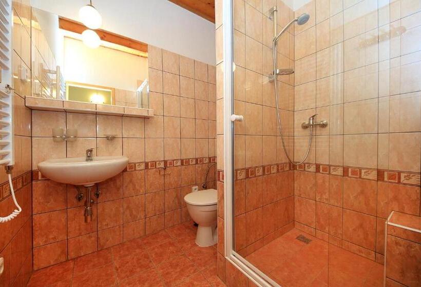 فندق صغير Penzion Folbr