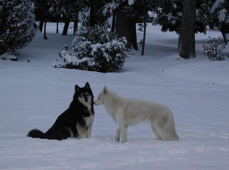 צימר Maisonmazerand