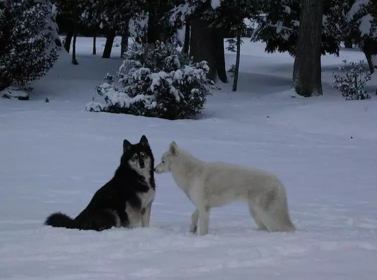 Aamiaismajoitus (B&B) Maisonmazerand