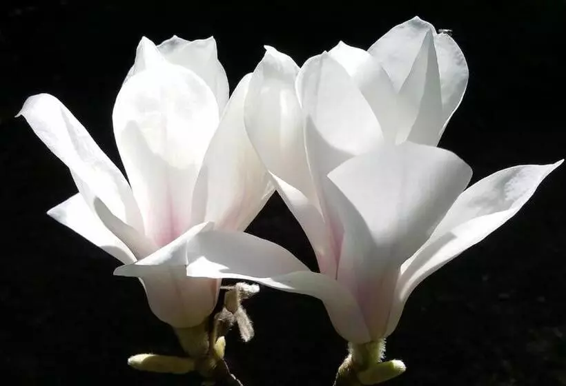 Aamiaismajoitus (B&B) Maisonmazerand