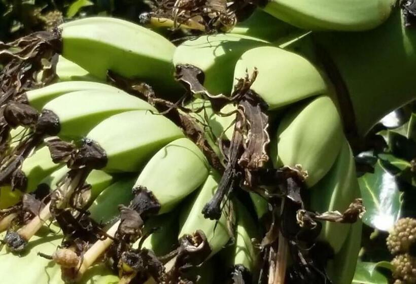 צימר Maisonmazerand