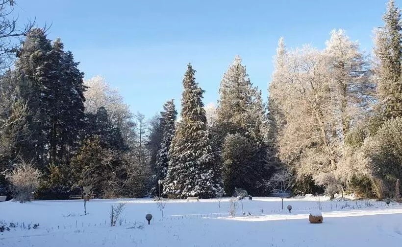 Aamiaismajoitus (B&B) Maisonmazerand