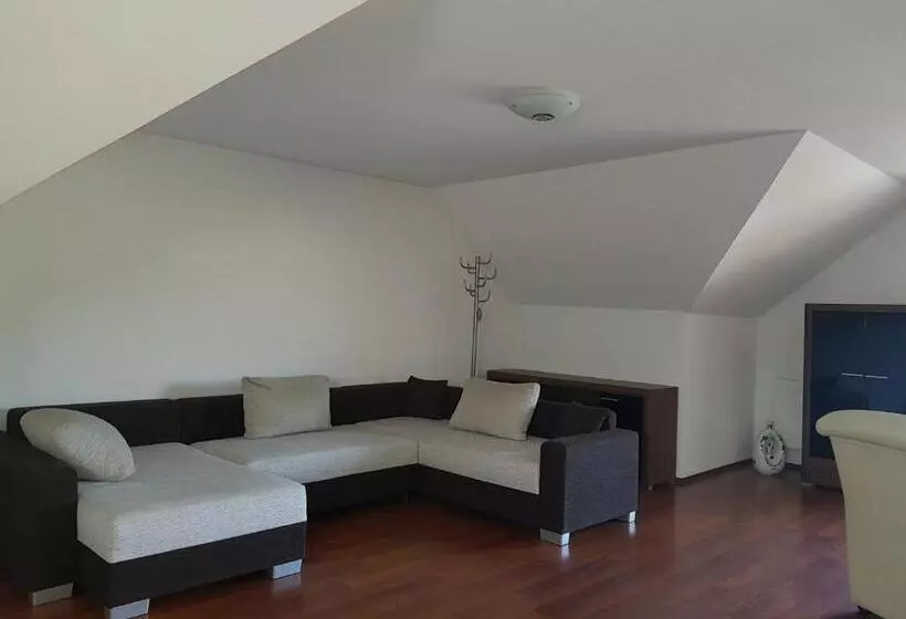 Aamiaismajoitus (B&B) Olze Panzió