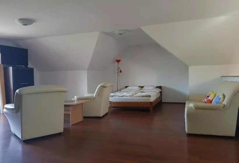 Aamiaismajoitus (B&B) Olze Panzió