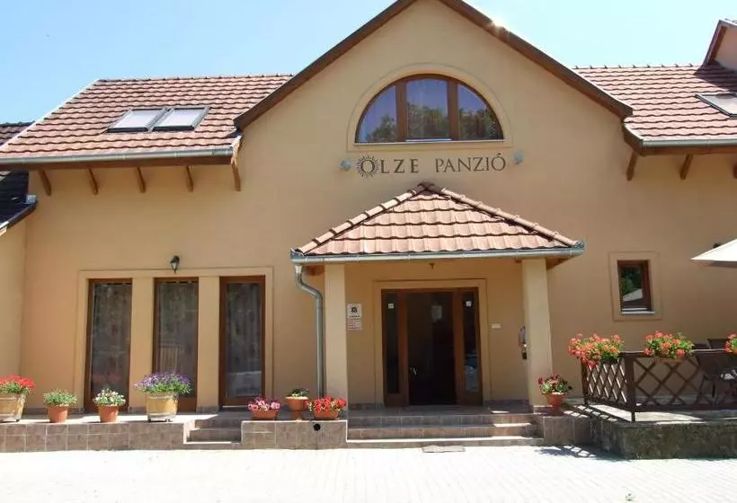 Aamiaismajoitus (B&B) Olze Panzió