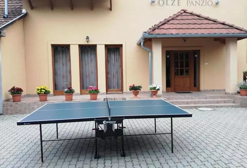 Aamiaismajoitus (B&B) Olze Panzió