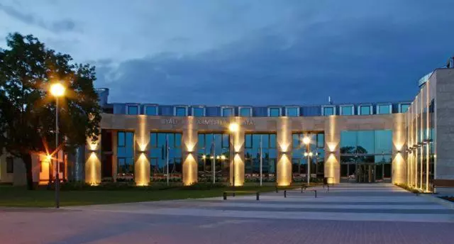 Csini Panzió Drinkbár