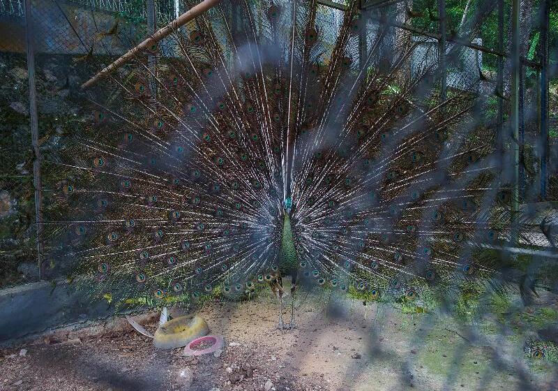 Collection O 89999 Hotel Bumi Kedaton Resort