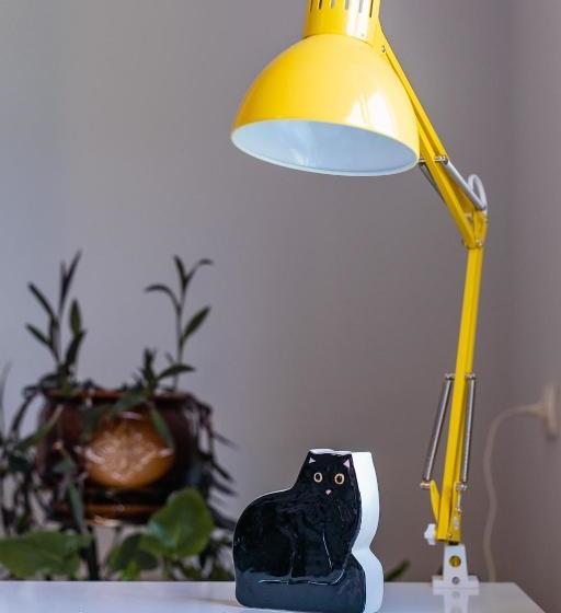 بنسيون Fazenda Raiter